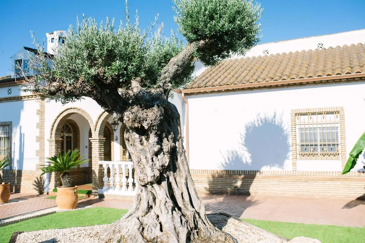 Casa Luxury 